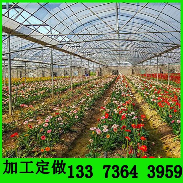 新型日光温室大棚 加固连栋棚骨架 22*1.3单体蔬菜镀锌大棚管