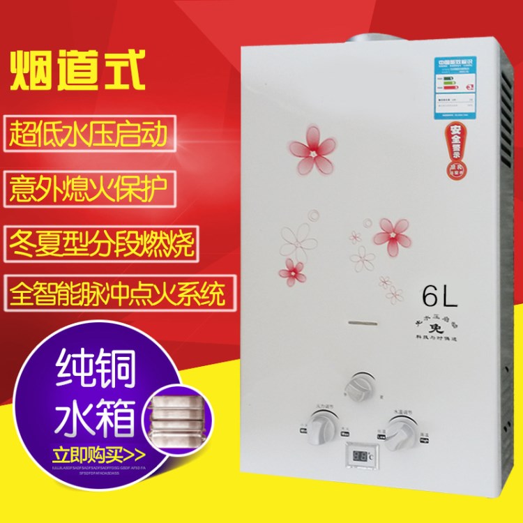 熱水器6L家用快熱式燃氣熱水器全銅水箱天然氣熱水器液化氣熱水器
