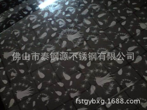 不銹鋼櫥柜門彩板泰鋼源彩色不銹鋼衛浴櫥柜裝飾板-黑鈦薄公英