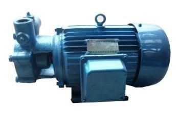 50W-45漩渦泵 單級直聯(lián)式旋渦泵 臥式離心漩渦泵