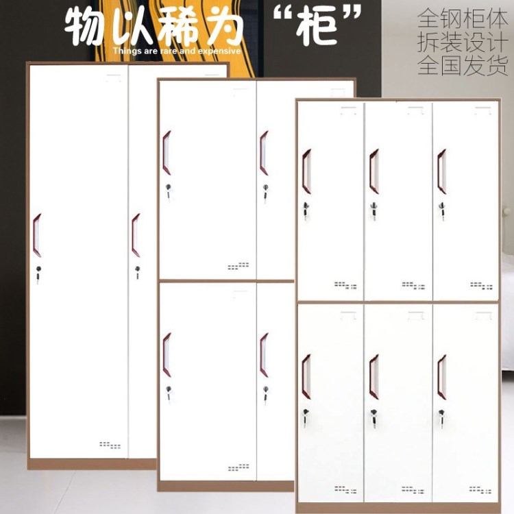 【更衣柜】簡約鋼制浴室宿舍儲物柜廠家直銷可定制2/3/4門更衣柜