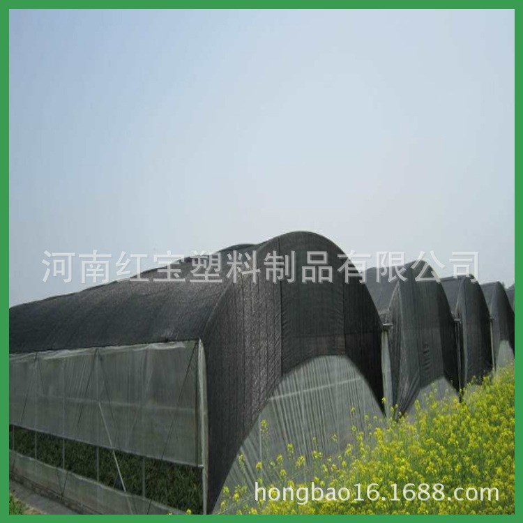 廠家批發農用大棚遮陽網 果樹專用隔熱防曬網 建筑用2針PE蓋土網