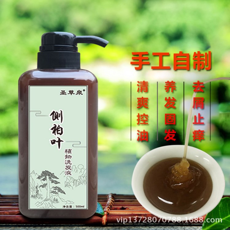 側(cè)柏葉皂角洗發(fā)水植物去屑止癢洗發(fā)液女無硅油生姜洗發(fā)膏加工OEM