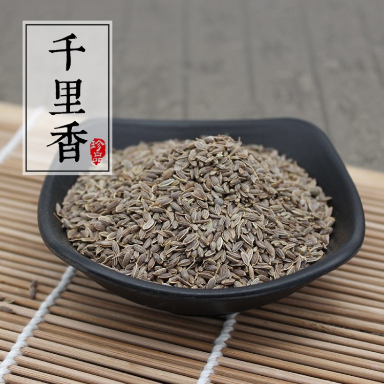 廠供供應(yīng)新鮮千里香原料 十里香 各種調(diào)味香辛料1KG