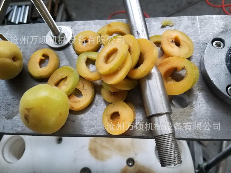 天津水蜜桃去核機2017新型