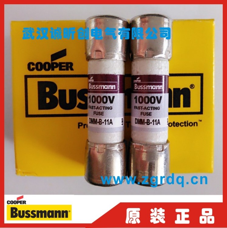 萬用表 美國BUSS FUSE保險絲管 DMM-B-11A DMM-11AR