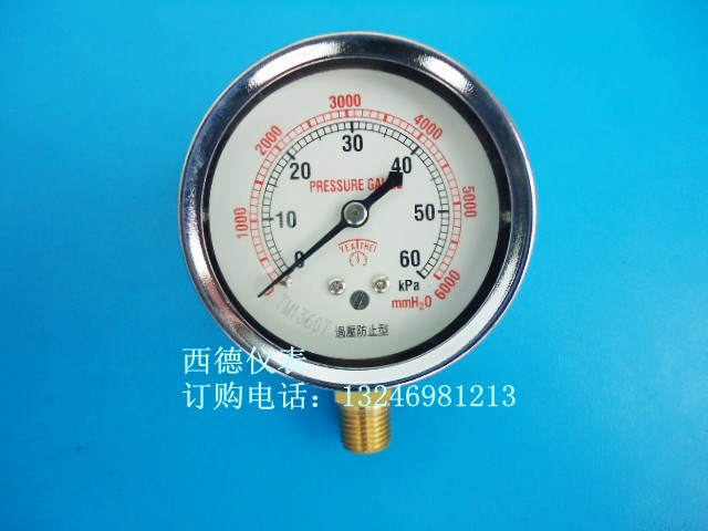YE-60 60MM立式0－60KPA管道微壓表 膜盒微壓表 燃?xì)鈮毫Ρ?
                                                         style=