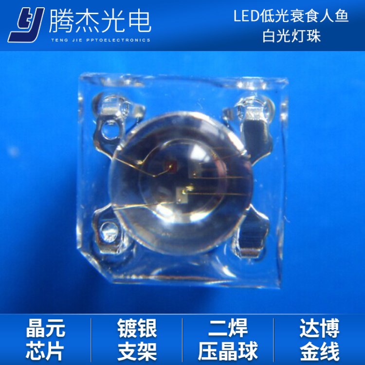 LED低光衰食人魚白光燈珠 紅色食人魚 食人魚模組 大功率白光燈珠