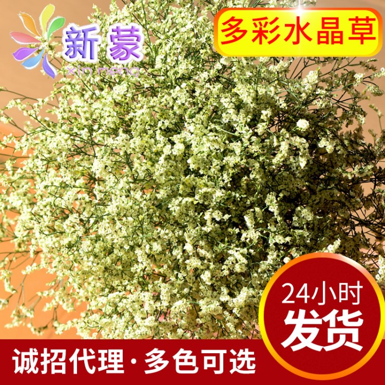 云南 水晶花 干花花束批发DIY客厅茶几卧室真花插花母亲节礼物