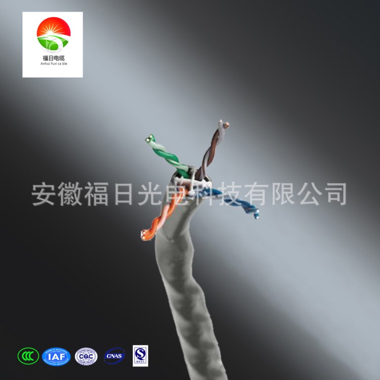 廠家直銷 屏蔽計算機電線電纜 阻燃計算機電纜ZR-DJYPVR 國標生產(chǎn)