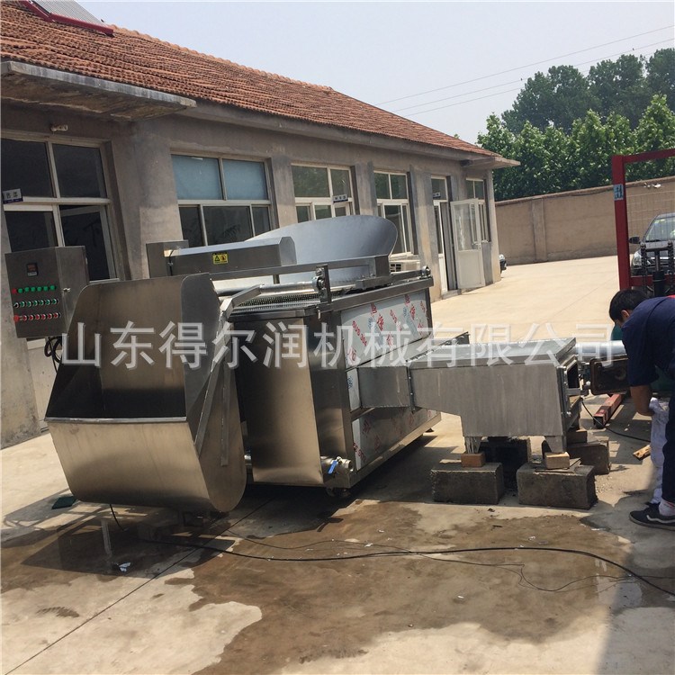 北部新區(qū) 油果油炸機價格 食品機械制造商