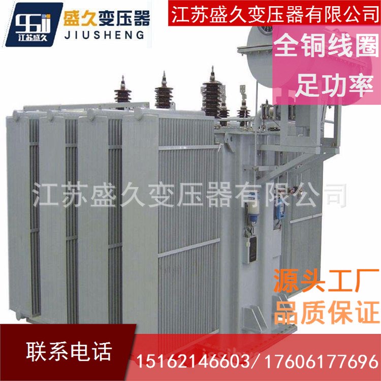 直銷SZ11-800KVA/35/10/0.4KV三相有載調(diào)壓變壓器足功率銅芯定制
