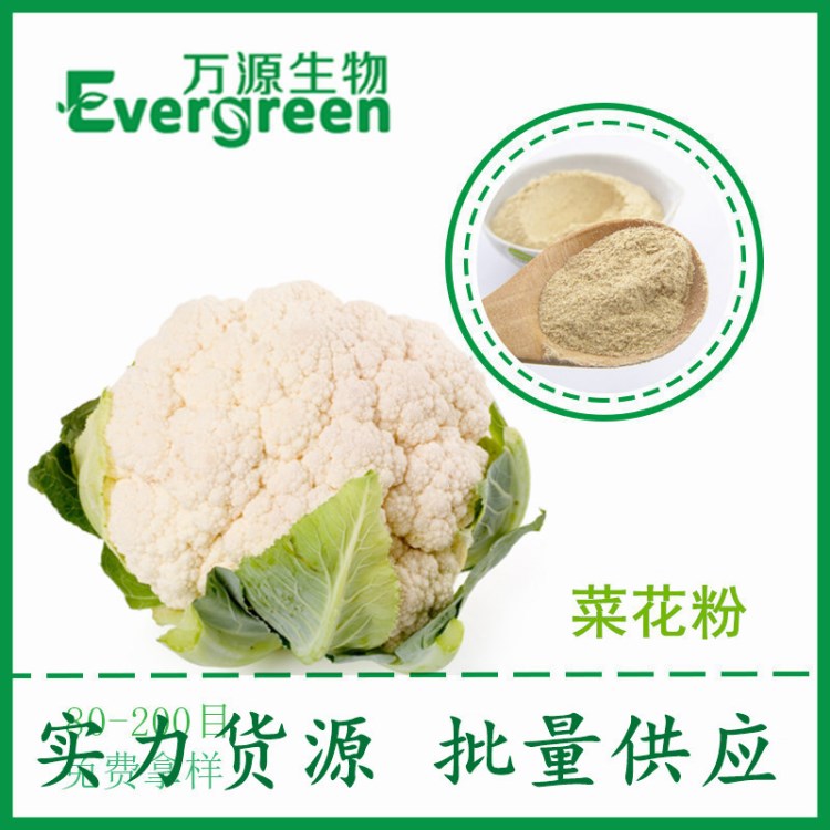 菜花粉  脫水蔬菜粉生產(chǎn)廠家