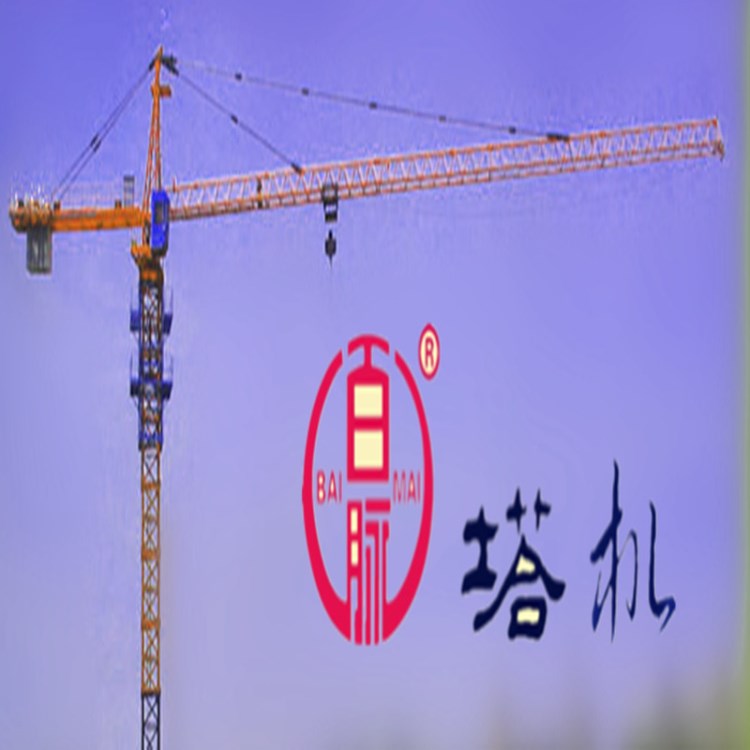 廠家直銷QTZ63塔吊 TC5010塔機(jī) 50米臂長廠家生產(chǎn)