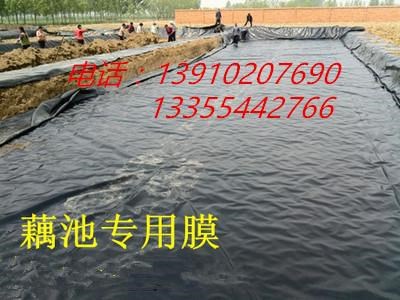 雨水收集池專用防滲膜價格 蓄水池復合土工膜廠家型號