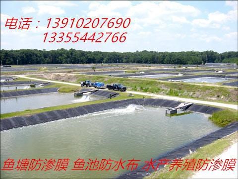 魚塘養殖專用土工膜 量防滲土工膜施工焊接