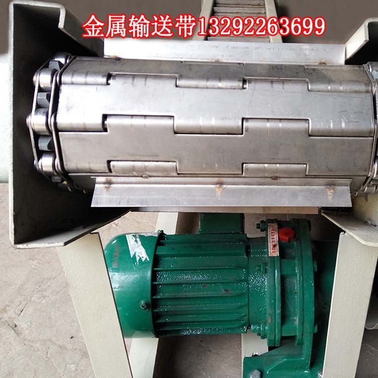 哈爾濱平菇不銹鋼網帶輸送機批發 大連蘑菇鏈板輸送機廠家