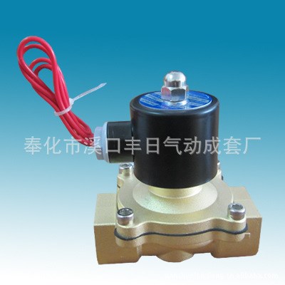 2W電磁閥  2W黃銅系列水閥  電磁閥 2W-250-25