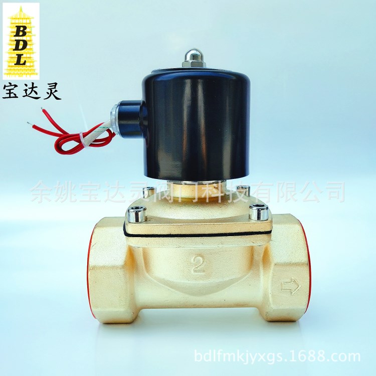 2W-500-50 兩位兩通 全銅 直動(dòng)式 常閉型 液/氣用 2寸絲扣電磁閥