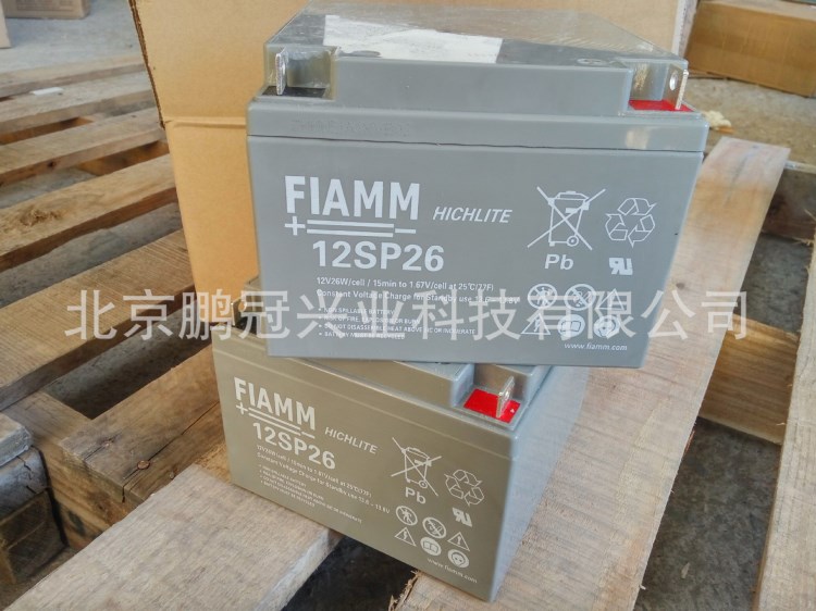 意大利非凡蓄電池12 FLB 300應(yīng)急電源 FLAMM電池12V7H