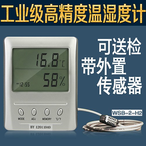 工业级高精度温湿度计带外置传感器传感器温度表WSB-2-H2