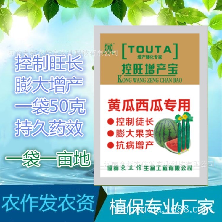 西瓜矮壯素膨大素控旺增產寶黃瓜專用烯效唑拉長增產稀效唑膨大素