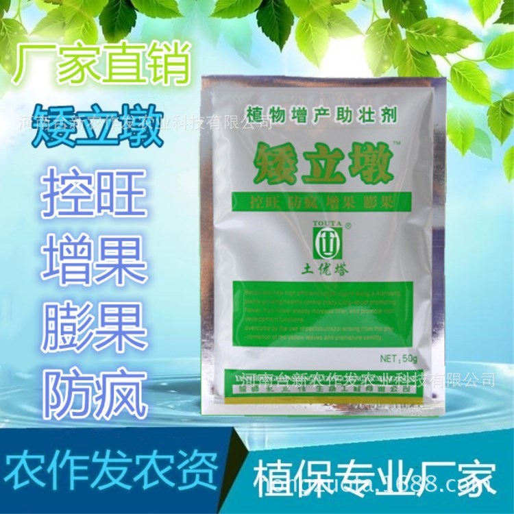 烯效唑不含多效唑矮壯素控旺根莖膨大劑花椒果樹控梢小麥紅薯花生