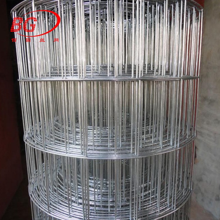 廠家供應抹墻電焊網建筑用電焊網內外墻保溫電焊網鐵絲網