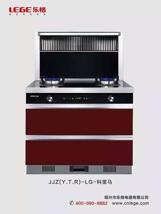 側吸下排 雙電機 自動清洗 上進風 脈沖點火團購樂格集成灶坦博拉