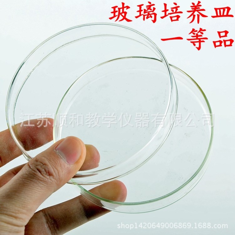 玻璃培養(yǎng)皿90mm75mm60mm一等品 細(xì)胞真菌玻璃平皿 玻璃器皿