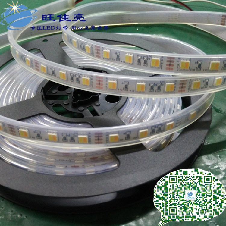 5050 雙色燈條 暖白+白燈帶 12v24V 60燈LED智能調(diào)光調(diào)色溫?zé)魩?
                                                         style=