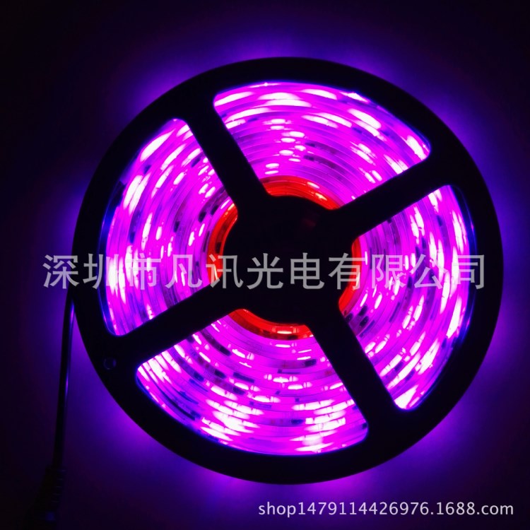 5050LED燈帶12v 30燈ws2811IC智能RGB幻彩燈條防水 免控?zé)魩?
                                                         style=