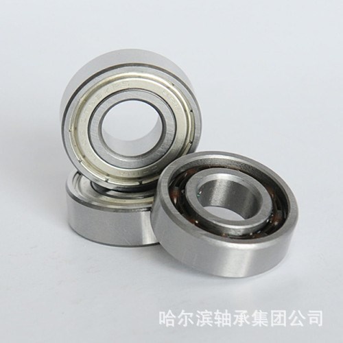 哈軸集團廠家直銷6004-2Z/P59