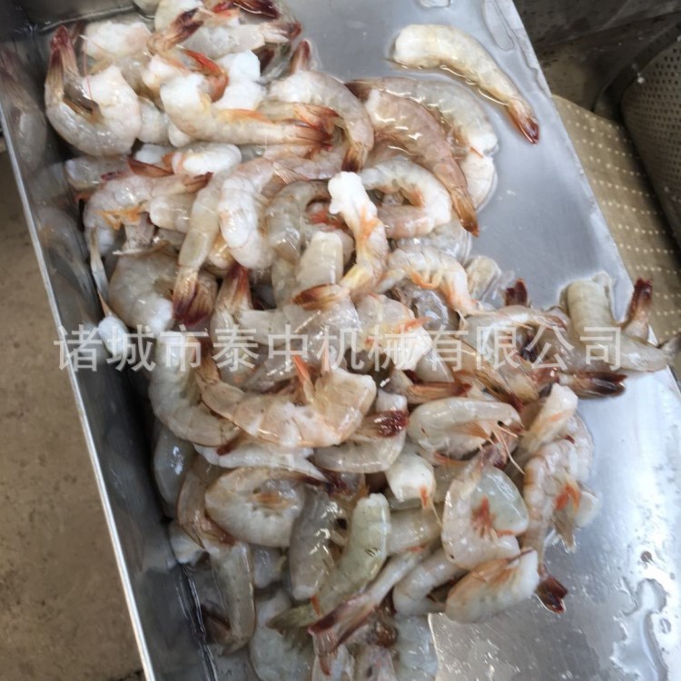 白鰱魚(yú)采魚(yú)肉去魚(yú)刺皮機(jī)器 不銹鋼魚(yú)骨分離機(jī) 全自動(dòng)魚(yú)肉去刺機(jī)