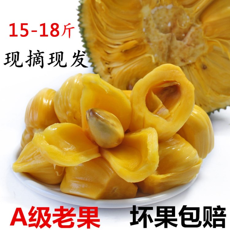 菠萝蜜 海南黄肉菠萝蜜三亚直发新鲜水果非泰国红肉菠萝蜜包邮