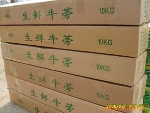 批发徐州二年新鲜牛蒡10公斤一箱 黄金牛蒡茶 浙江沪55元包快递费