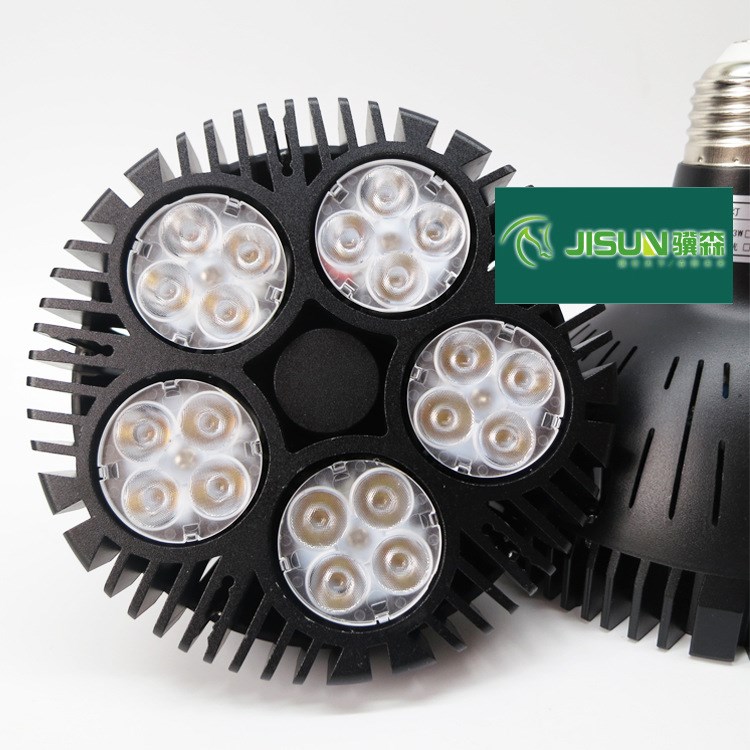 led par38 40w 50W LED射灯 LED PAR38 60W LED PAR38光源