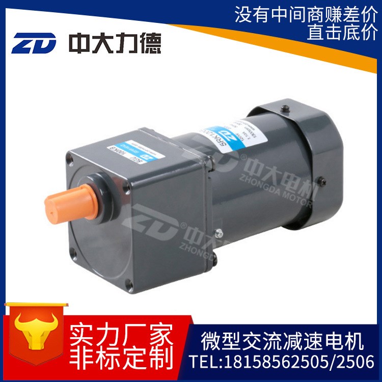 zd中大微型小型交流阻尼可逆齒輪減速電機(jī)廠家供應(yīng)120w