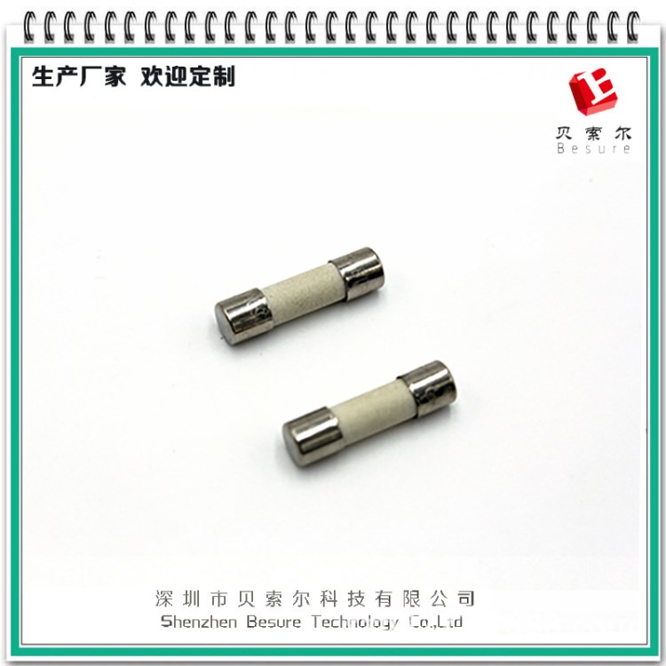 RHOS 2. 原裝保險絲管 電器保護元件 數碼保險絲管
