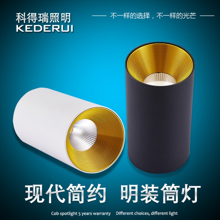 現(xiàn)代簡(jiǎn)約北歐圓形明裝筒燈LED歐式免開孔外露聚光吸頂天花工業(yè)風(fēng)