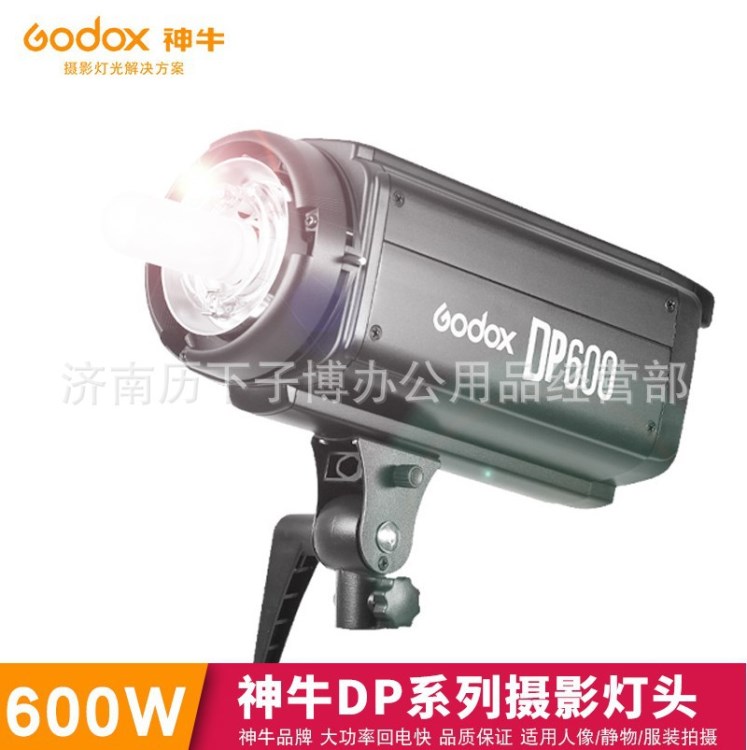 神牛DP600W閃光燈頭 攝影燈攝影棚影室燈家具人像影室閃光燈