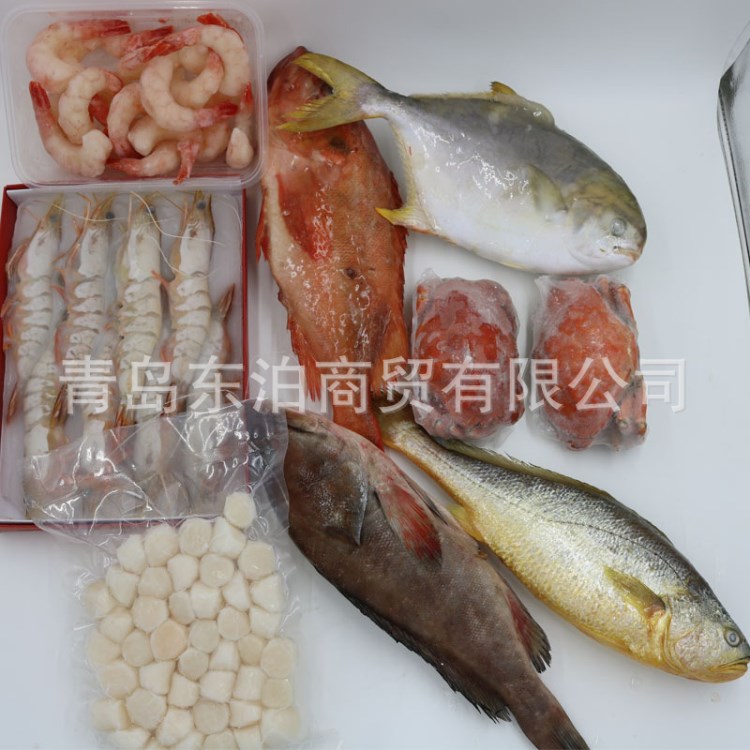 東泊海鮮大禮包 精裝 冷凍水產(chǎn)品 青島商家大量供應(yīng) 營養(yǎng)豐富