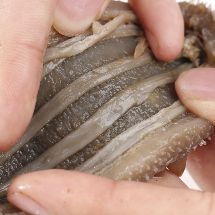 即食海参 长岛特大即食海参 营养水产品 生鲜水产海参干货包邮