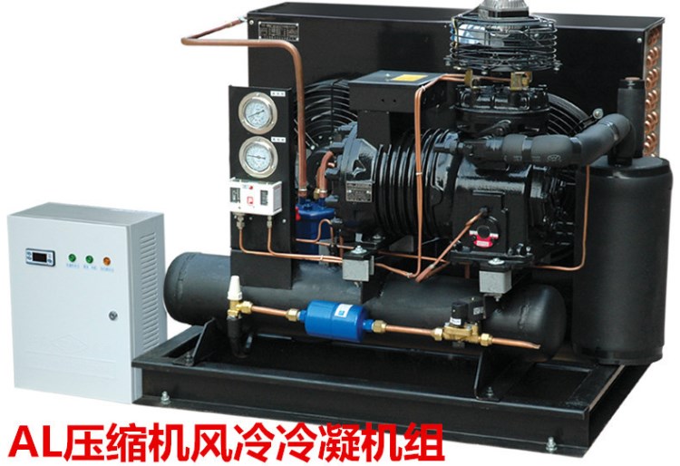 机组 冷库制冷 风冷冷凝机组 中央空调 保鲜 冷藏库制冷设备