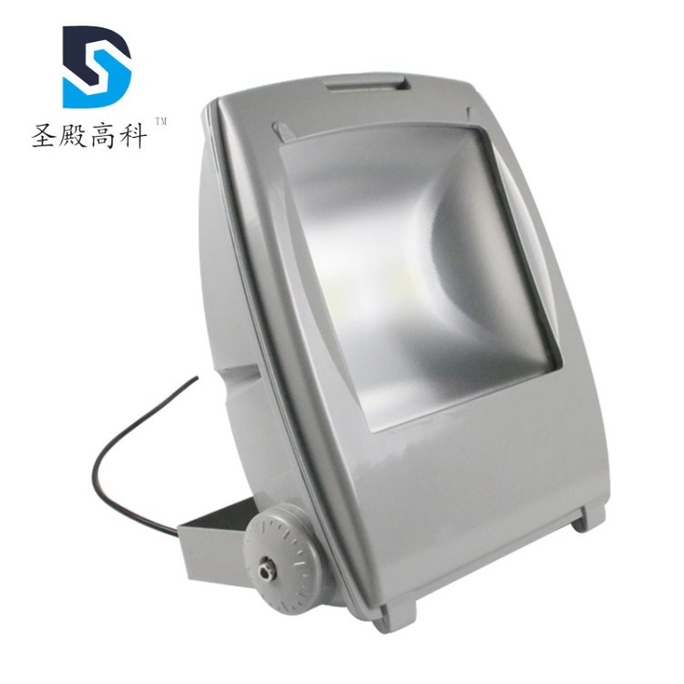 跨境企鵝背包10w20w30w50w投光燈led墻燈戶外燈具投光器磨砂玻璃