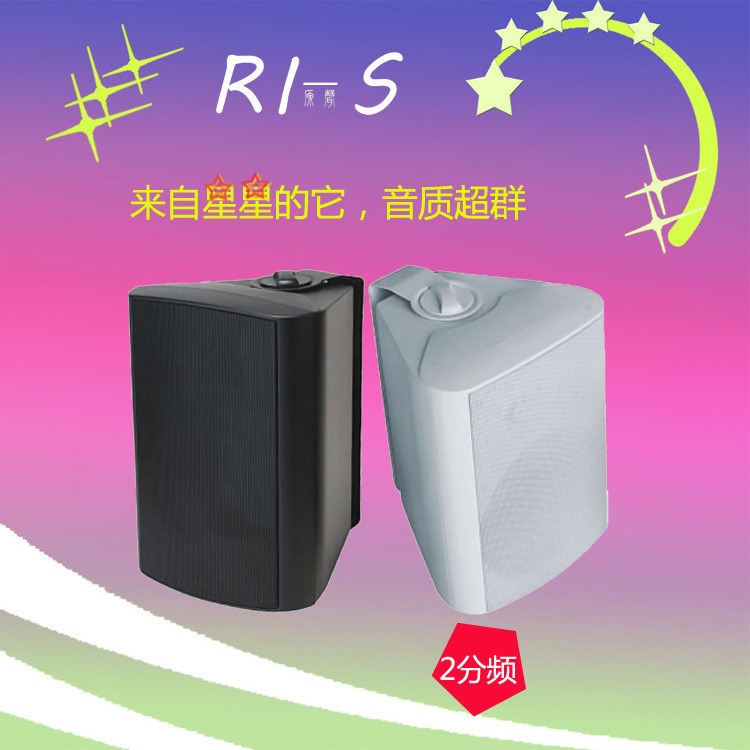 RI-S(源聲） 2分頻掛壁音響 會(huì)議喇叭掛裝公共廣播音箱工廠店