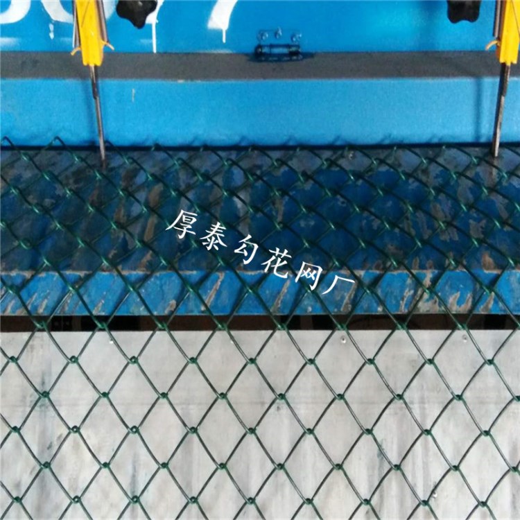 厚泰廠家生產銷售勾花網機 自動菱形網機 菱形網勾花網設備