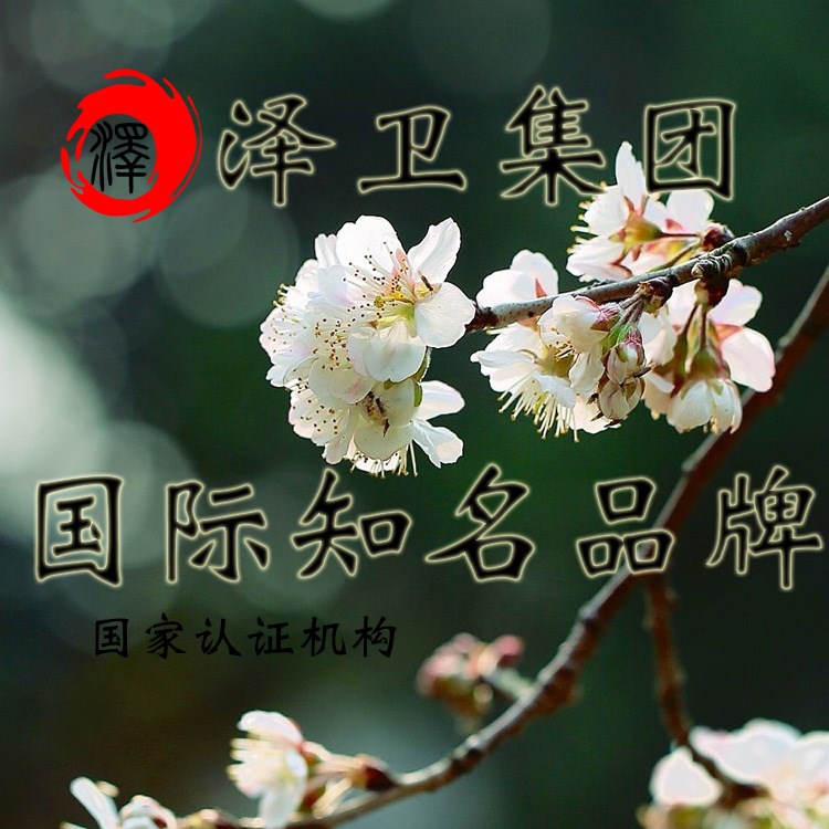 國際 提供知識產(chǎn)權(quán)服務(wù) 海外國內(nèi)商標(biāo)注冊