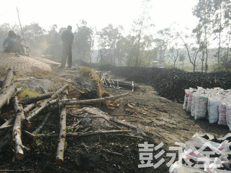 廠家直銷天然棗木炭 烤肉木炭 盒裝木炭貼牌加工