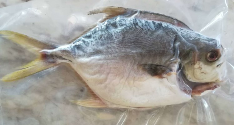 魚干食品粗加工水產順德特產腌魚海鱸魚干腌制風干水產品批發(fā)供應